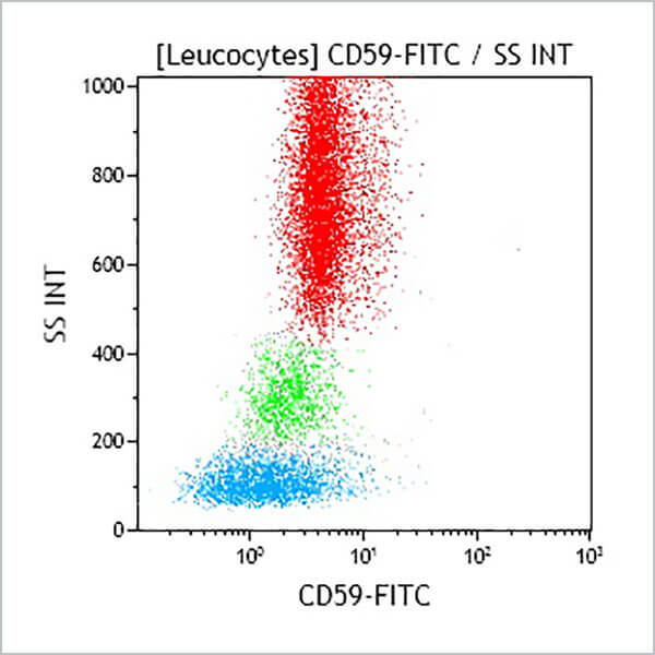 B49187_CD59-FITC, P282E, 100 Tests, CE