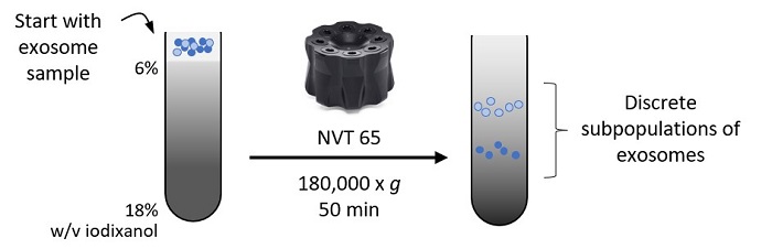 Rate Zonal Density Gradient Ultracentrifugation